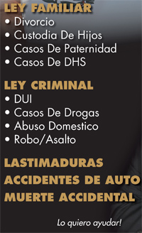 bulletlist_dipe